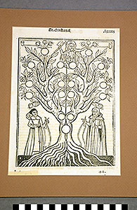 Thumbnail of Folio:  arbor scientiae (1930.11.0006A)