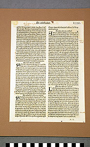 Thumbnail of folio:  arbor scientiae (1930.11.0006B)