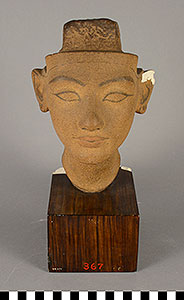 Thumbnail of Plaster Cast of Bust of Nefertiti (1948.01.0014)
