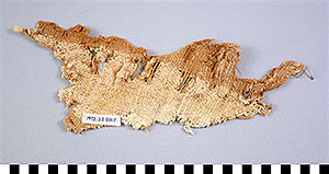 Thumbnail of Cloth Fragment (1972.22.0017)