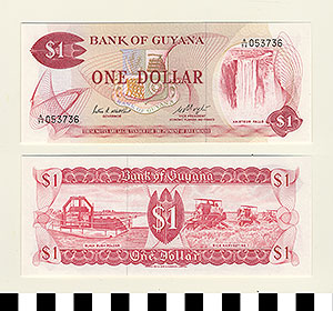 Thumbnail of Bank Note: Guyana, 1 Dollar (1992.23.0687)