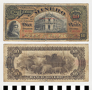 Thumbnail of Bank Note: Mexico, 10 Pesos (1992.23.1151)