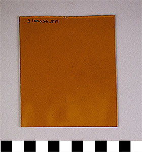 Thumbnail of Mosque Lantern Glass Pane (1995.22.0001E)