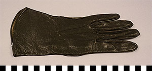 Thumbnail of WAVES Uniform Glove ()