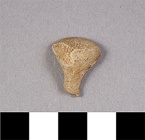 Thumbnail of Figurine Fragment: Head (1998.18.0148)