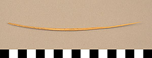 Thumbnail of Needle (1998.19.4946)