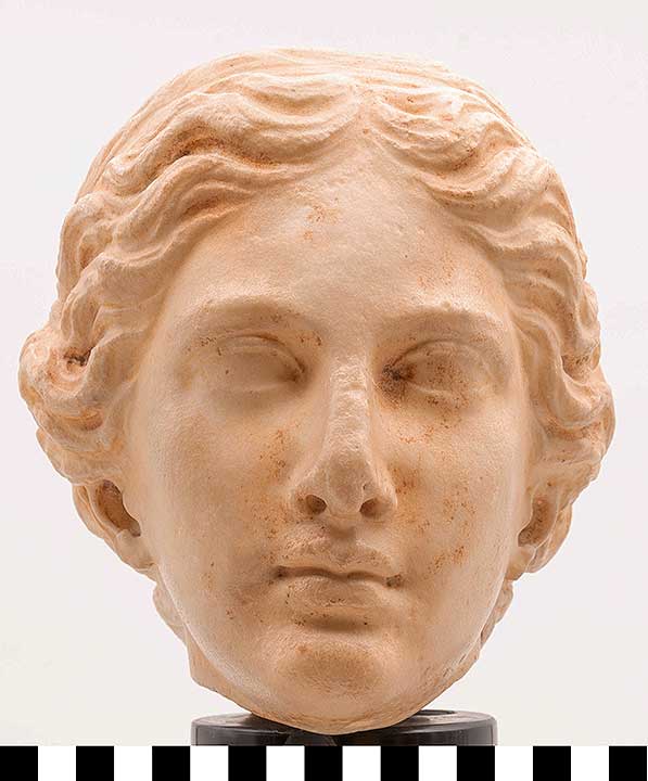 Thumbnail of Female Bust (2002.13.0004A)