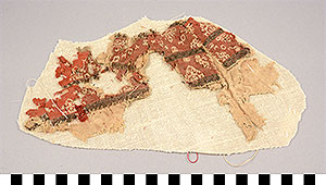 Thumbnail of Cloth Fragments from Mummification Process (2002.15.0001)