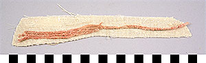 Thumbnail of Cloth Fragments from Mummification Process (2002.15.0002)