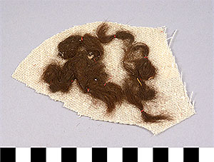 Thumbnail of Cloth Fragments from Mummification Process (2002.15.0003)