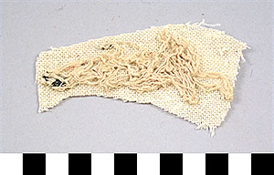 Thumbnail of Cloth Fragments from Mummification Process (2002.15.0004)