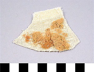 Thumbnail of Cloth Fragments from Mummification Process (2002.15.0005)