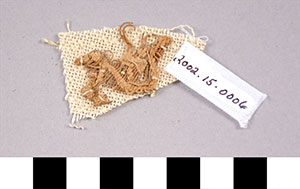 Thumbnail of Mummy Cloth Fragments (2002.15.0006)