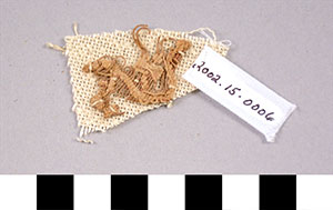 Thumbnail of Cloth Fragments from Mummification Process (2002.15.0006)