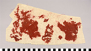 Thumbnail of Cloth Fragments from Mummification Process (2002.15.0011)