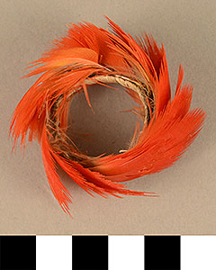 Thumbnail of Toucan Feather Headdress for Standing Festival Dancer  (2008.12.0006D)