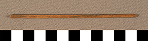 Thumbnail of Double Quiver and Arrow Sticks: Arrow Stick (2015.03.0049O)