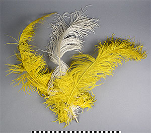 Thumbnail of Morenada Costume: Feather (2015.06.0004B)