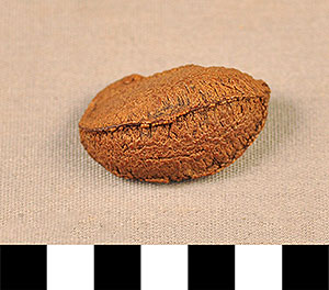 Thumbnail of Toy Canoe Brazil Nut (2015.08.0076F)