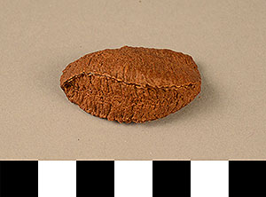 Thumbnail of Toy Canoe Brazil Nut (2015.08.0076G)
