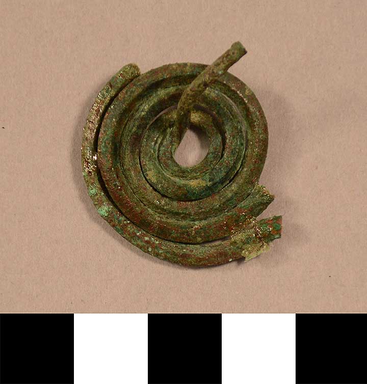 Thumbnail of Spiral Fibula (1900.76.0026A)