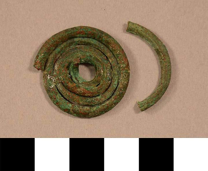 Thumbnail of Spiral Fibula (1900.76.0026B)