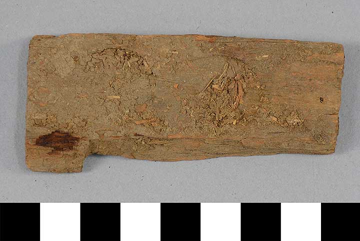 Thumbnail of Inscribed Fragment, possibly Mummy Tag (1911.02.0058)