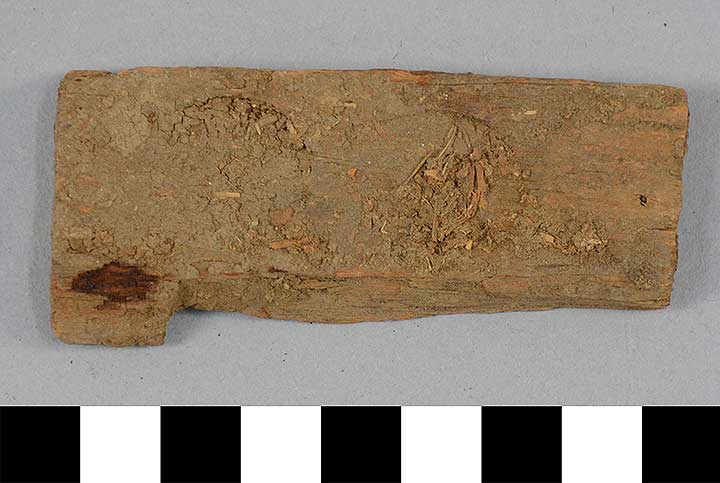 Thumbnail of Inscribed Fragment, possibly Mummy Tag (1911.02.0058)