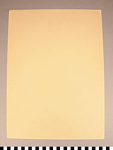 Thumbnail of Print of Folio: Illuminated Manuscripts in the British Museum (1912.08.0007C)