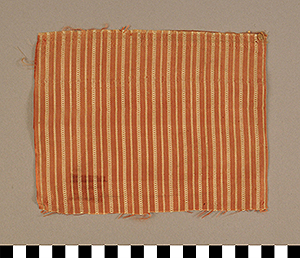 Thumbnail of Artifact Remnant: Textile Costume Sample (1925.02.0204)