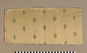 Thumbnail of Artifact Remnant: Textile Upholstery Sample, Damask (1925.02.0211)