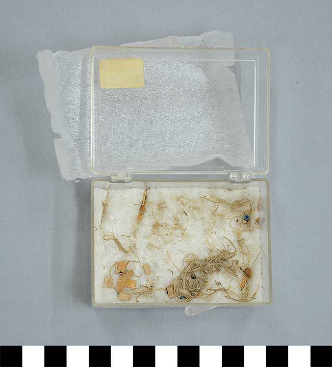 Thumbnail of Mummy Cartonage Fragment (1926.02.0133B)