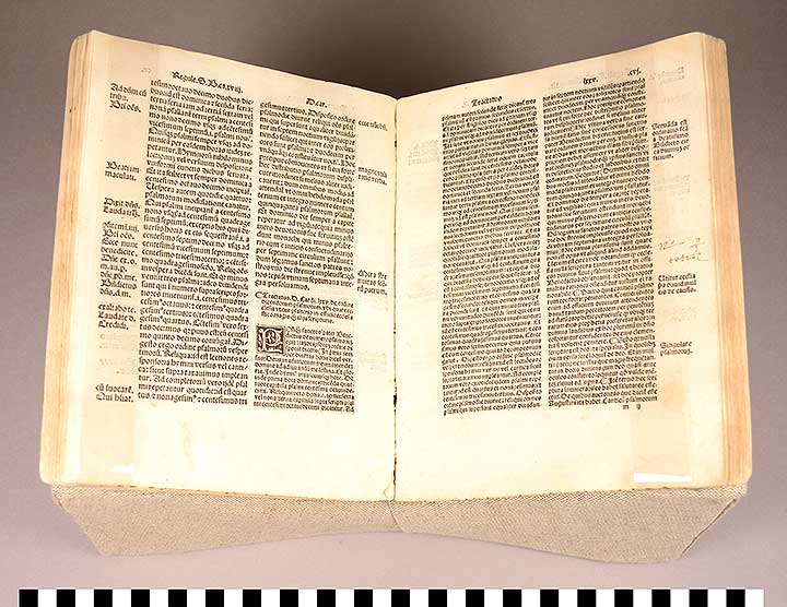 Thumbnail of Book: Regula S. Benedicti (The Rule of Saint Benedict) (1931.21.0001A)