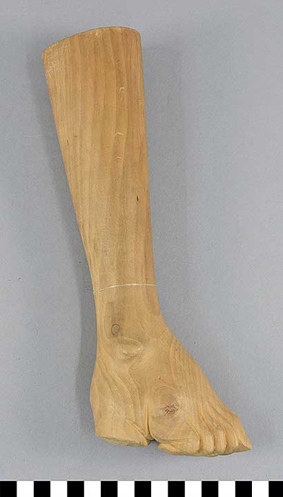 Thumbnail of Anatomical Model of Bound Foot (1967.04.0001)