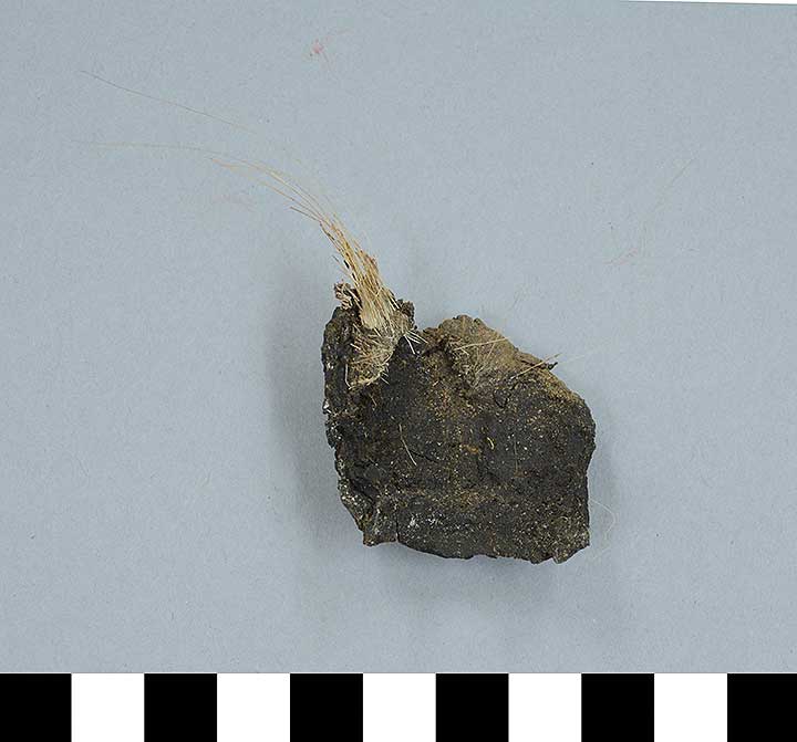 Thumbnail of Harp Fragment (1971.13.0033C)