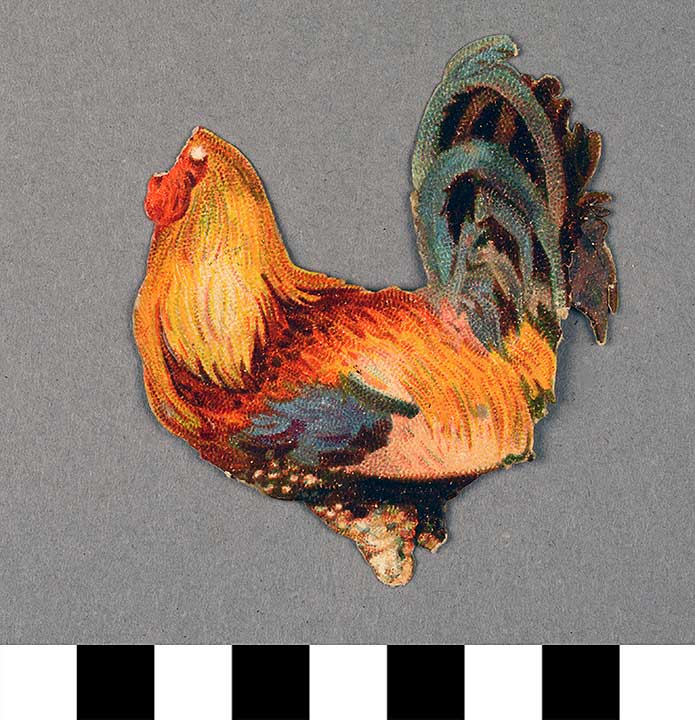 Thumbnail of Blank Card: Rooster (1972.21.0262)