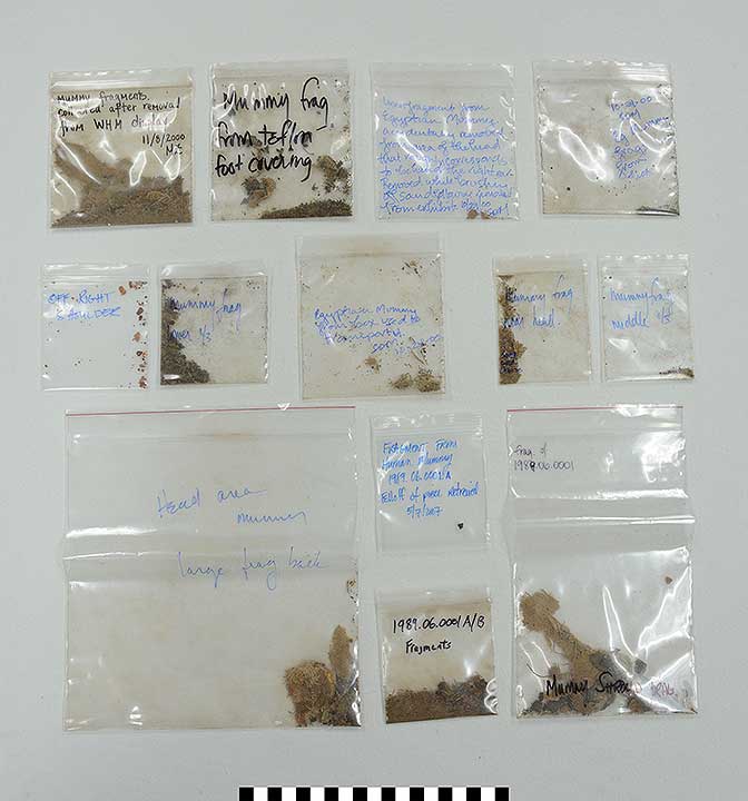 Thumbnail of Bags of Mummy Fragments (1989.06.0001C)