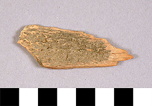 Thumbnail of Biospecimen: Bone Fragment (1998.19.0028)