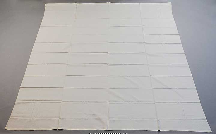 Thumbnail of Bed Sheet (2002.16.0073)