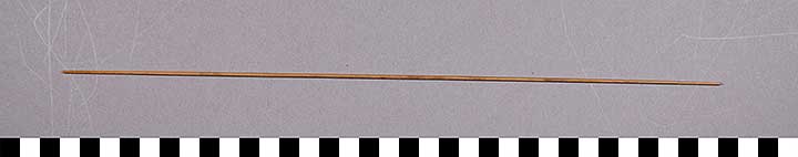 Thumbnail of Blow Dart (2015.08.0093B)