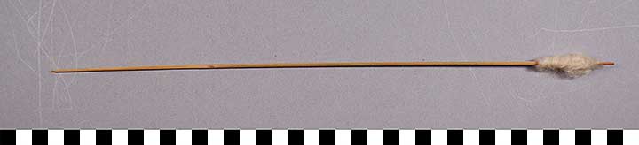 Thumbnail of Blow Dart (2015.08.0093C)