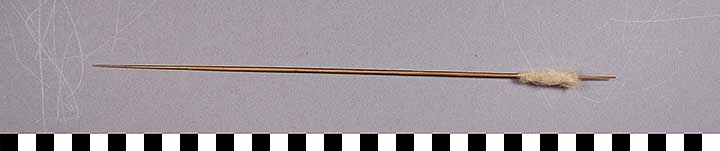 Thumbnail of Blow Dart (2015.08.0093D)