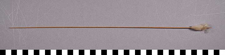 Thumbnail of Blow Dart (2015.08.0093E)