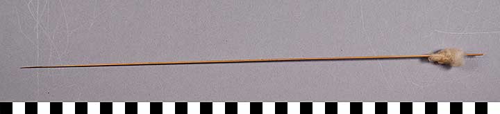 Thumbnail of Blow Dart (2015.08.0093F)