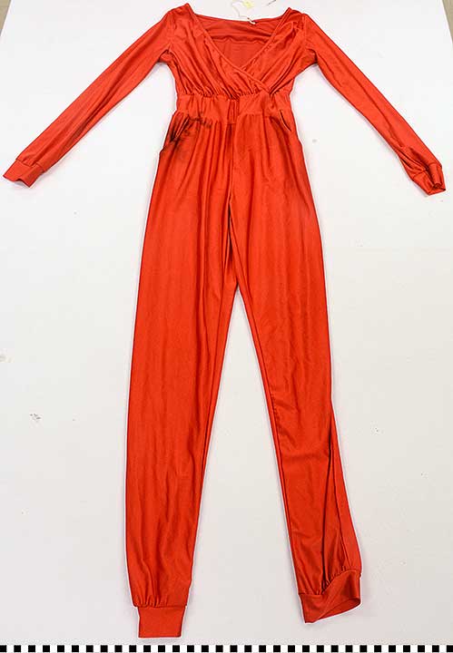 Thumbnail of Drag Costume GEO: Onesie (2022.04.0008)