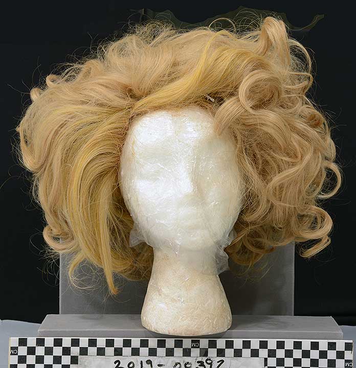 Thumbnail of Drag Costume: Wig (2022.07.0001)