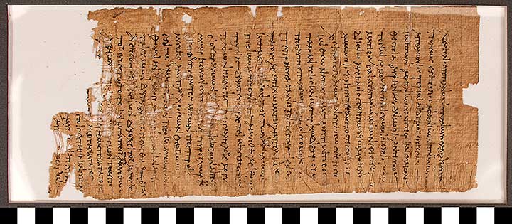 Thumbnail of Oxyrhynchus Papyrus, P.Oxy VI 909: Contract, Sale of Acacia Trees for Tax Arrears (Fragment) ()