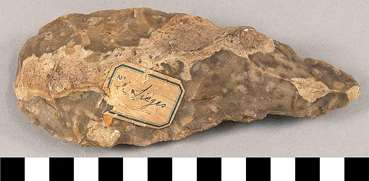Thumbnail of Stone Tool: Axe Blank (1924.02.0552)