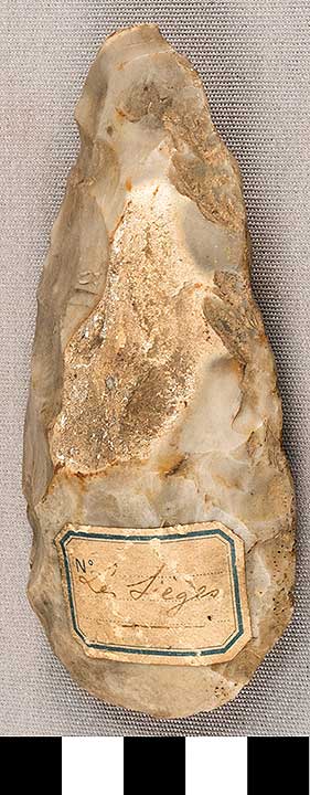 Thumbnail of Stone Tool: Axe Blank (1924.02.0554)