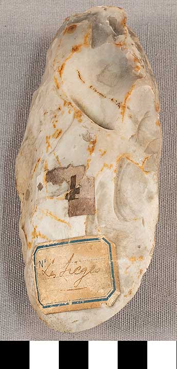 Thumbnail of Stone Tool: Axe Blank (1924.02.0555)